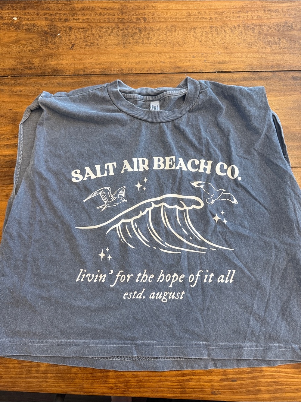 American Apparel Blue Graphic Tank Top/ Taylor Swift August